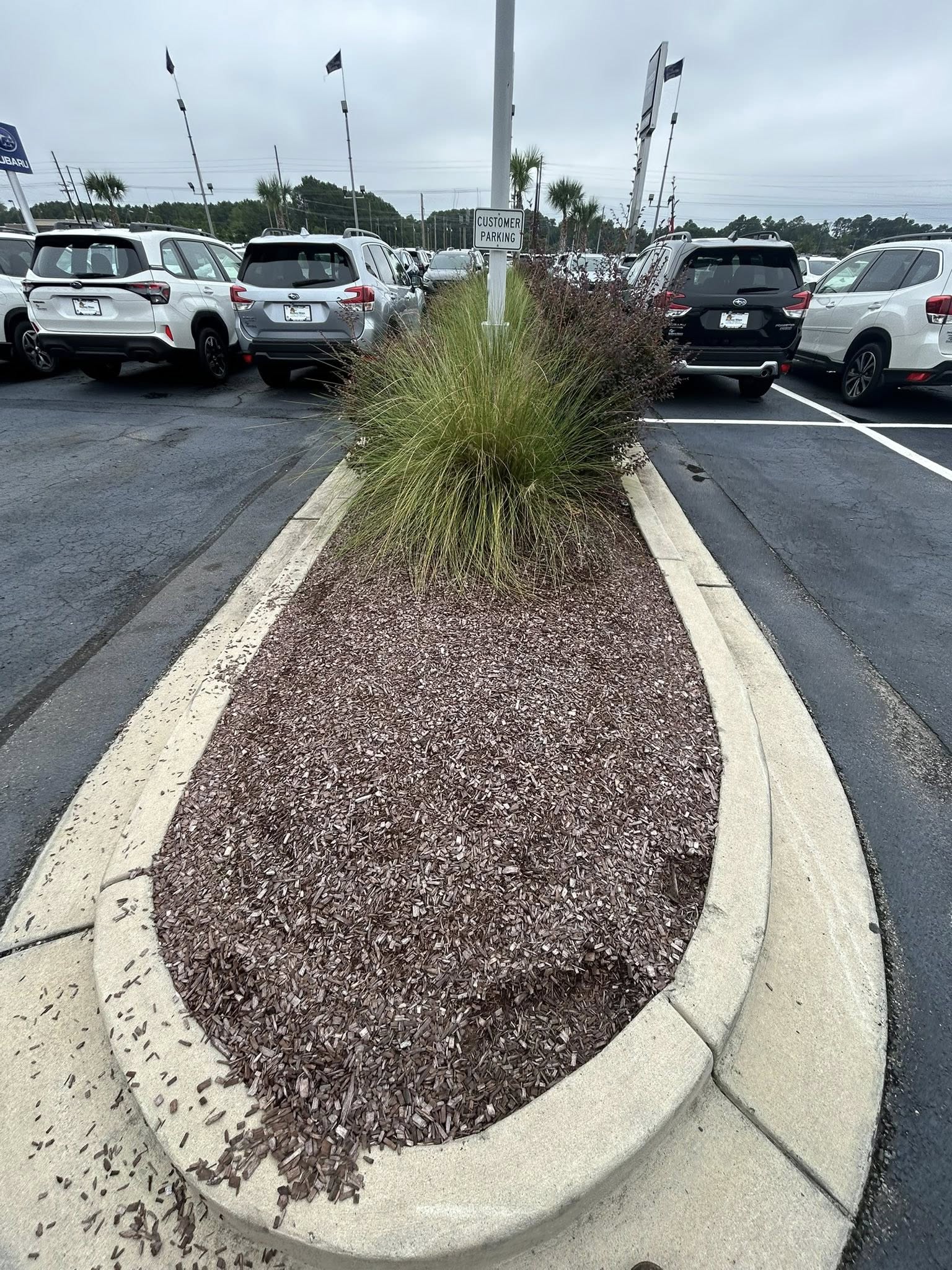 Removed shrubs, and installed artificial turf for dealership
