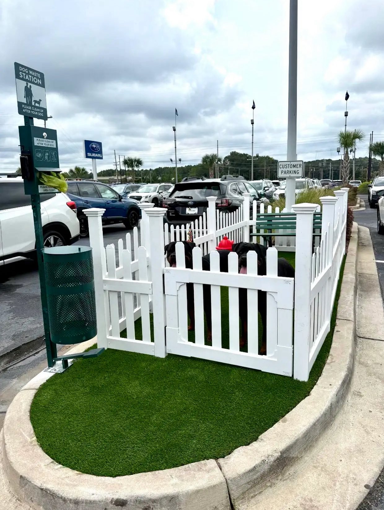 Removed shrubs, and installed artificial turf for dealership