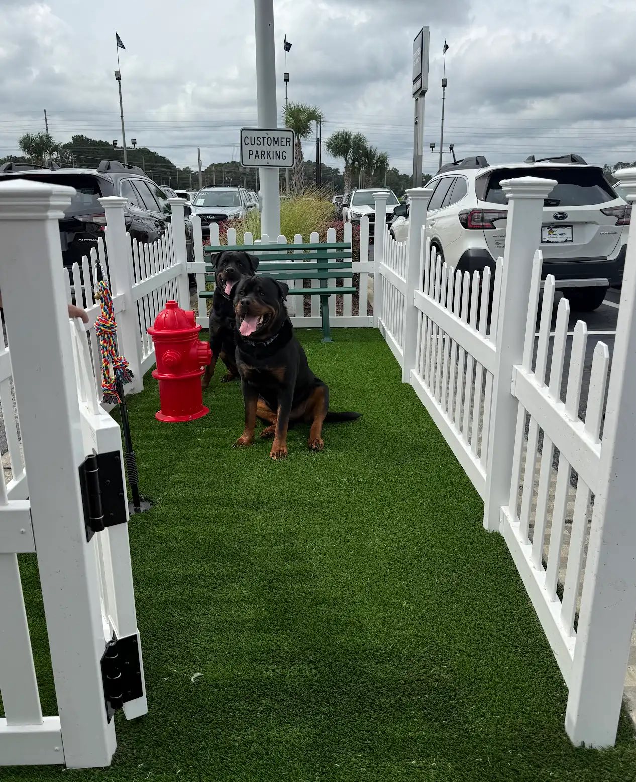 Removed shrubs, and installed artificial turf for dealership