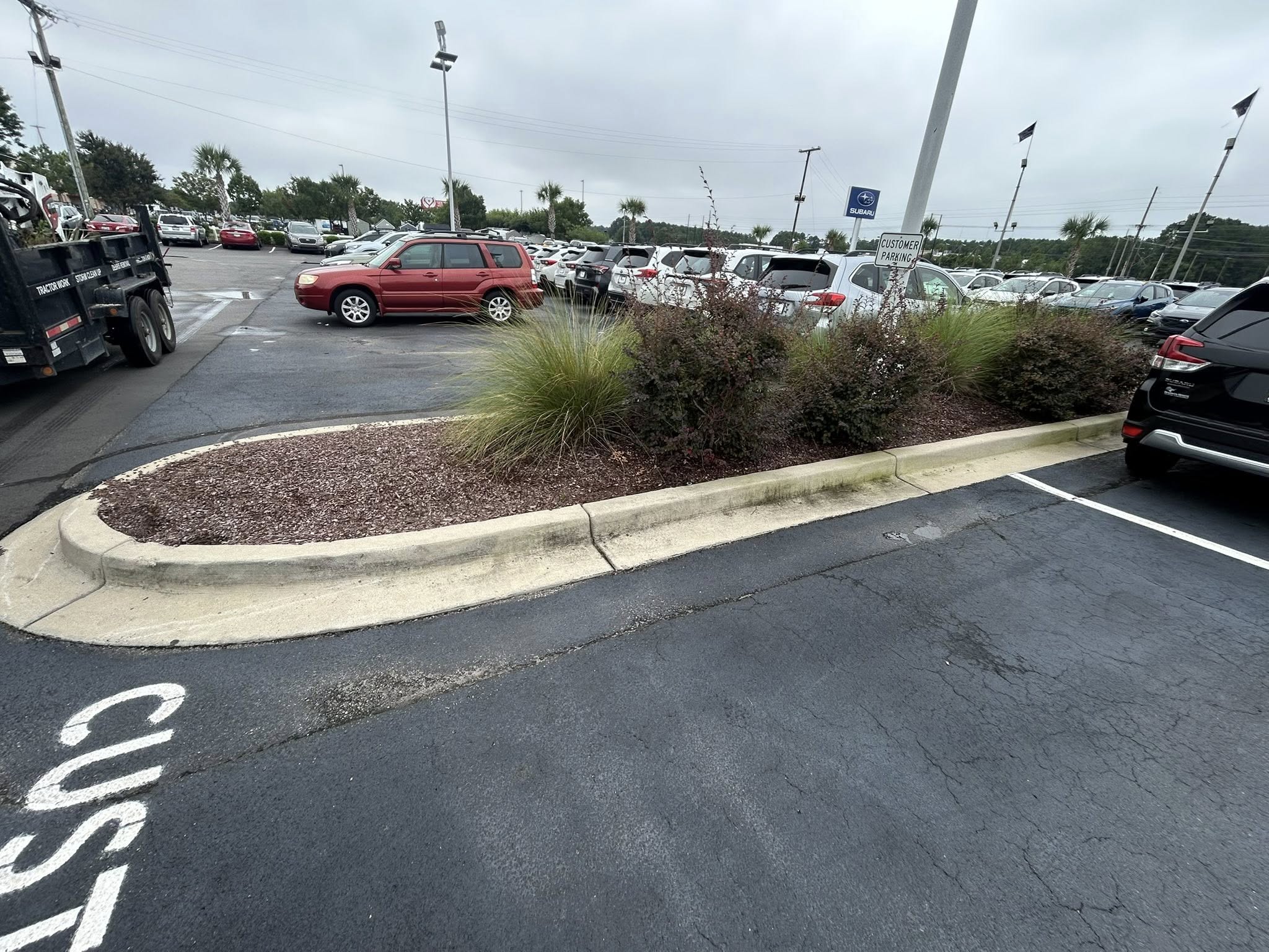 Removed shrubs, and installed artificial turf for dealership