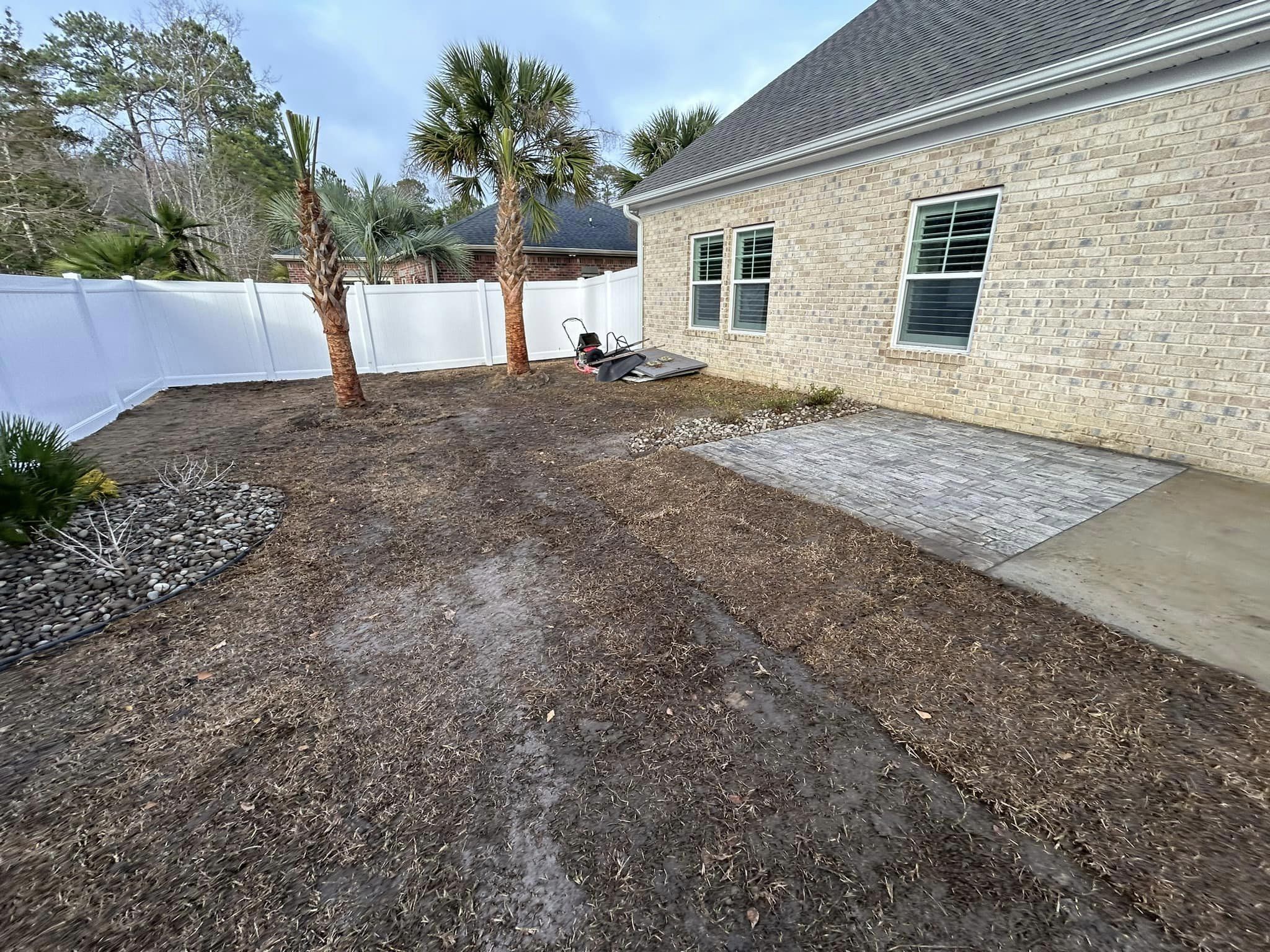 Installed 2 European palm tree and 2 Sabal palm trees in Longs,SC 29568