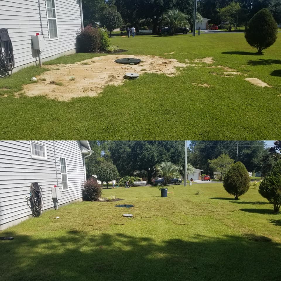 Removed shrubs, installed sod Conway, SC