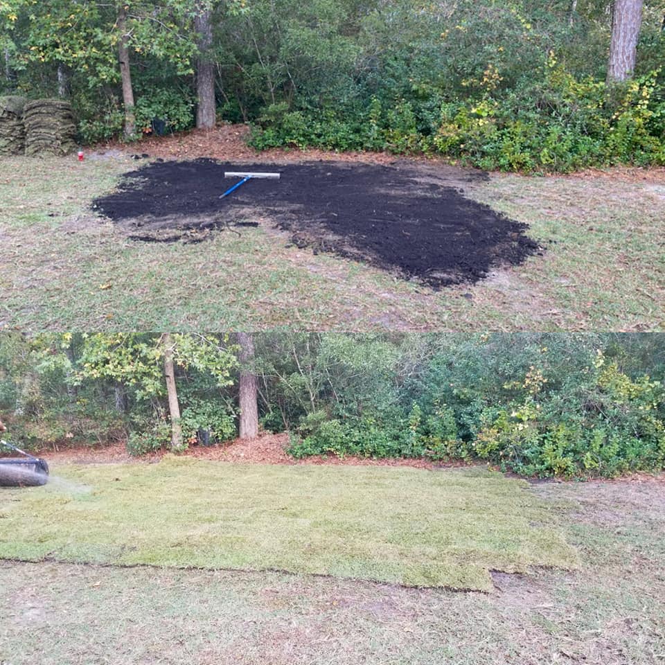 Tractor graded ground, added topsoil and sod in Conway, SC 29526