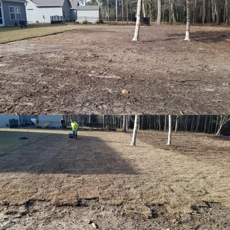 Installed 4 pallets of sod in Longs,SC 29568