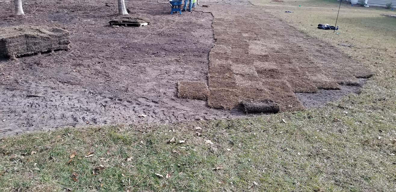 Installed 4 pallets of sod in Longs,SC 29568