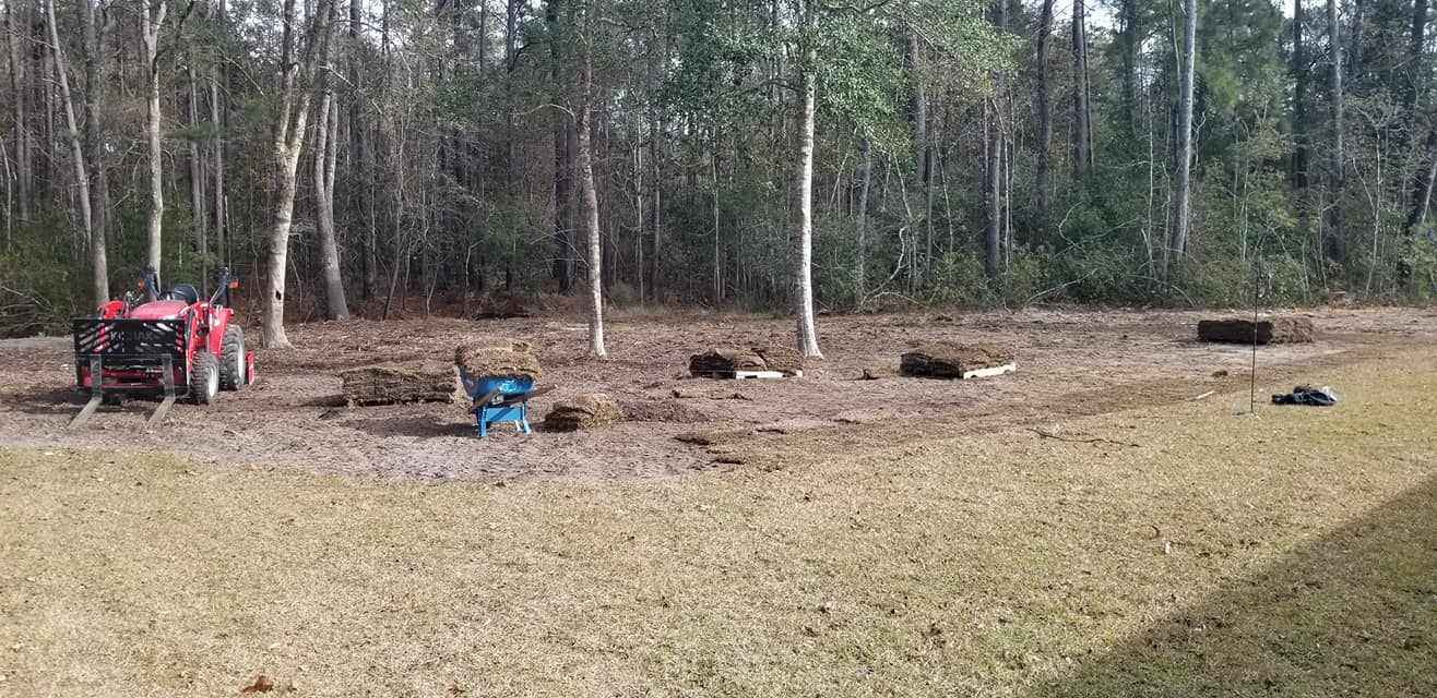 Installed 4 pallets of sod in Longs,SC 29568