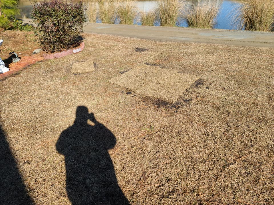 Installed top soil and sod in Longs,SC 29568