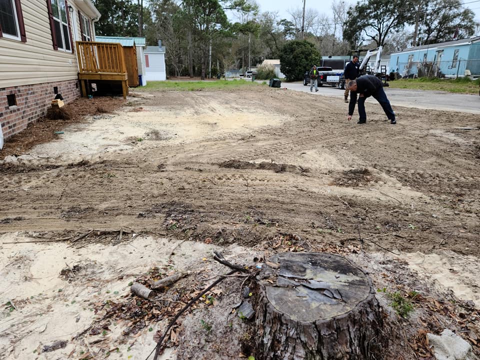 remove 2 stumps, roots, prep ground for sod
