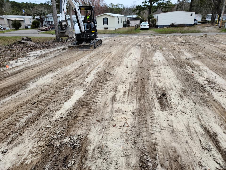 remove 2 stumps, roots, prep ground for sod
