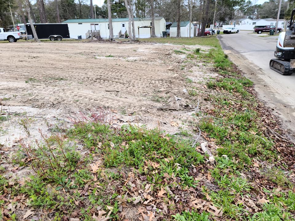 remove 2 stumps, roots, prep ground for sod