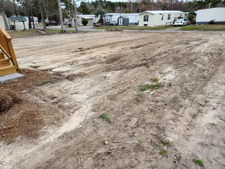 remove 2 stumps, roots, prep ground for sod