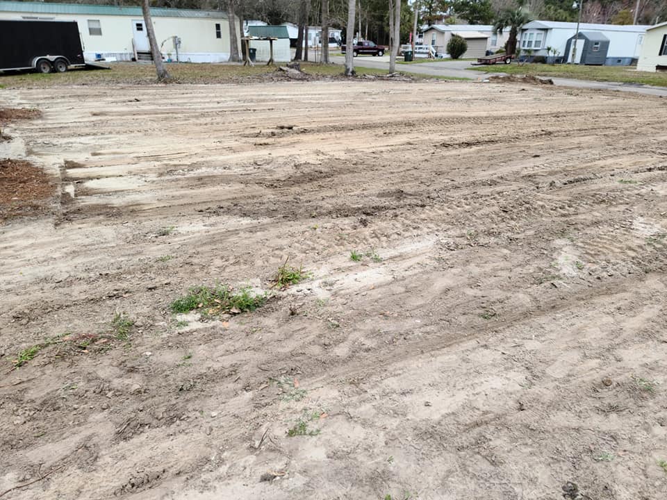 remove 2 stumps, roots, prep ground for sod