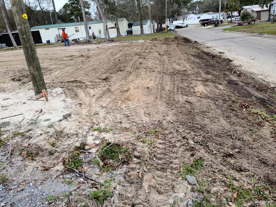 remove 2 stumps, roots, prep ground for sod