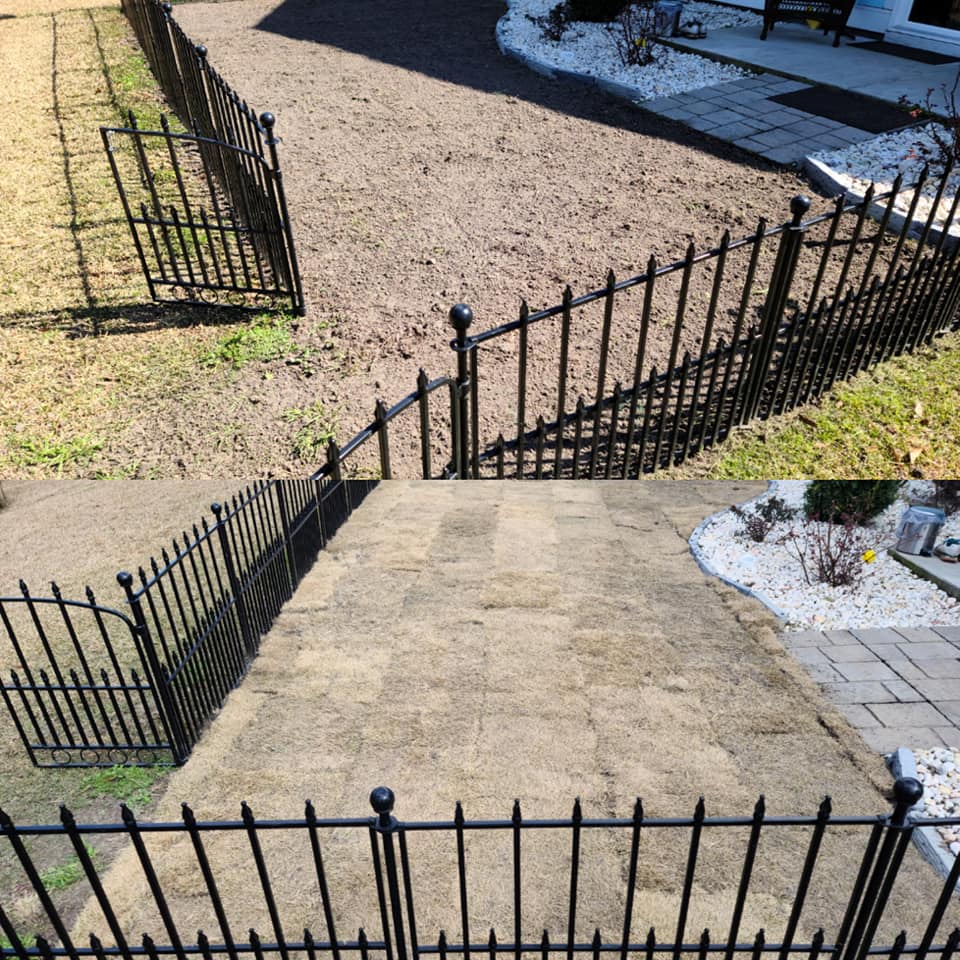 Installed 1 pallet of Zoysia