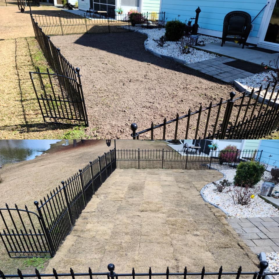 Installed 1 pallet of Zoysia