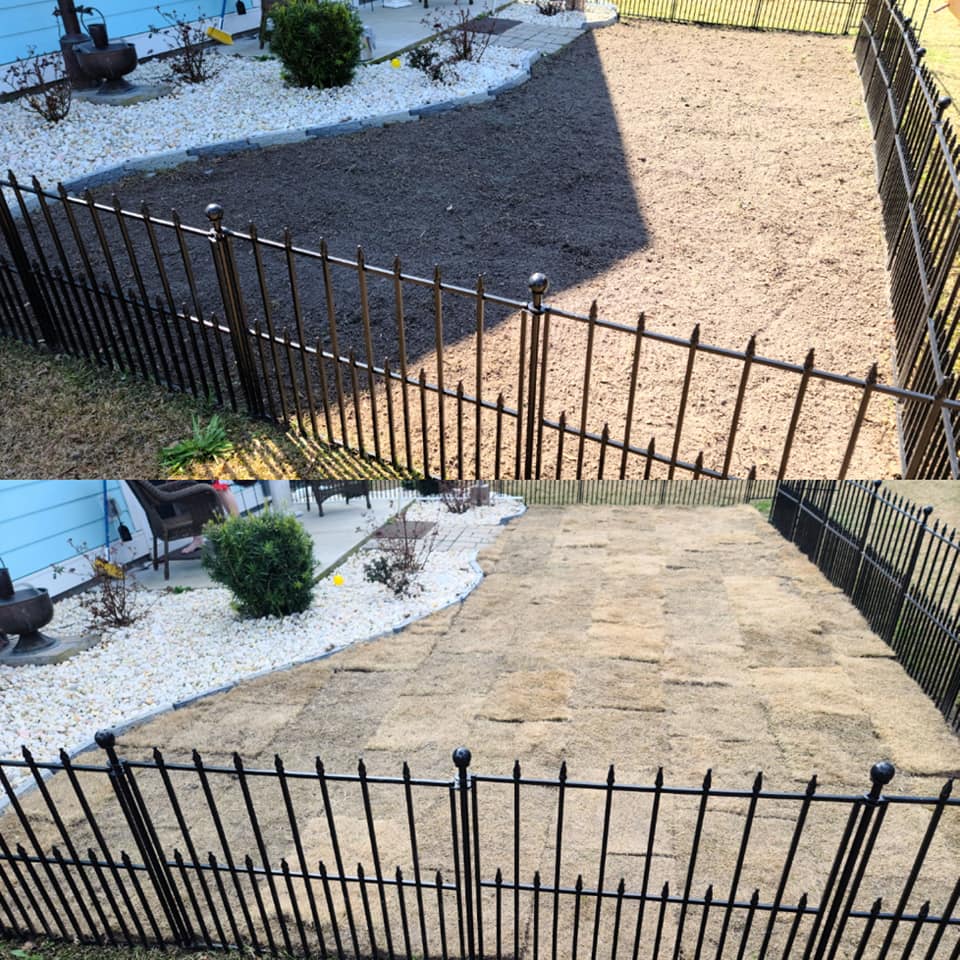 Installed 1 pallet of Zoysia