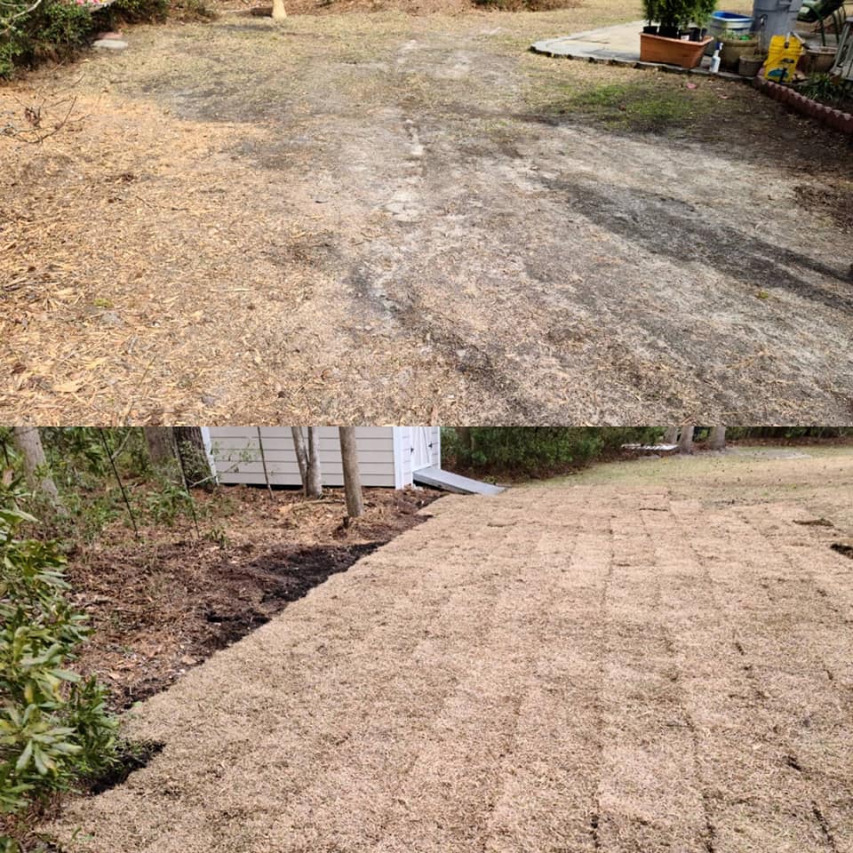Removed some wooded area and installed sod in Little River,SC