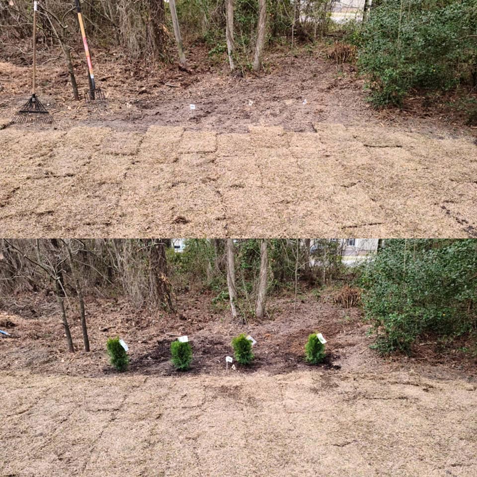 Removed some wooded area and installed sod in Little River,SC