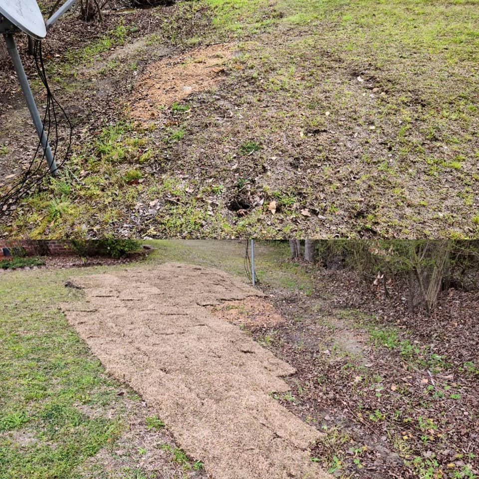Removed some wooded area and installed sod in Little River,SC