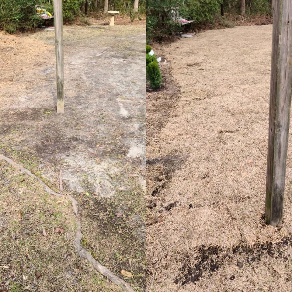 Removed some wooded area and installed sod in Little River,SC