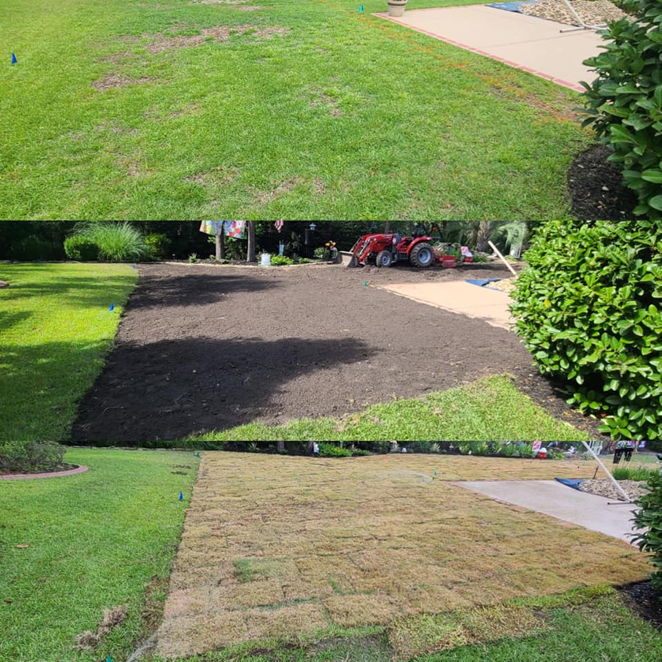 remove Centipede and install Zoysia sod in Myrtle Beach, SC 29579