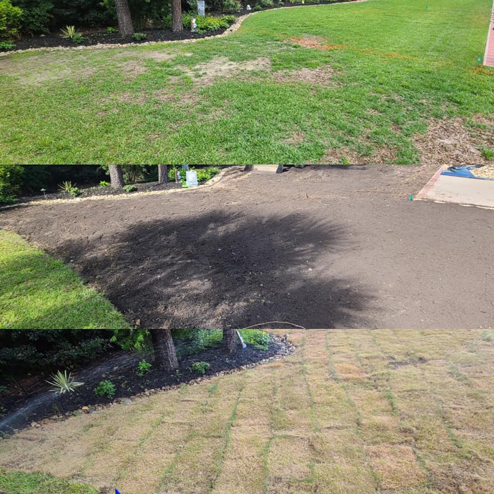 remove Centipede and install Zoysia sod in Myrtle Beach, SC 29579