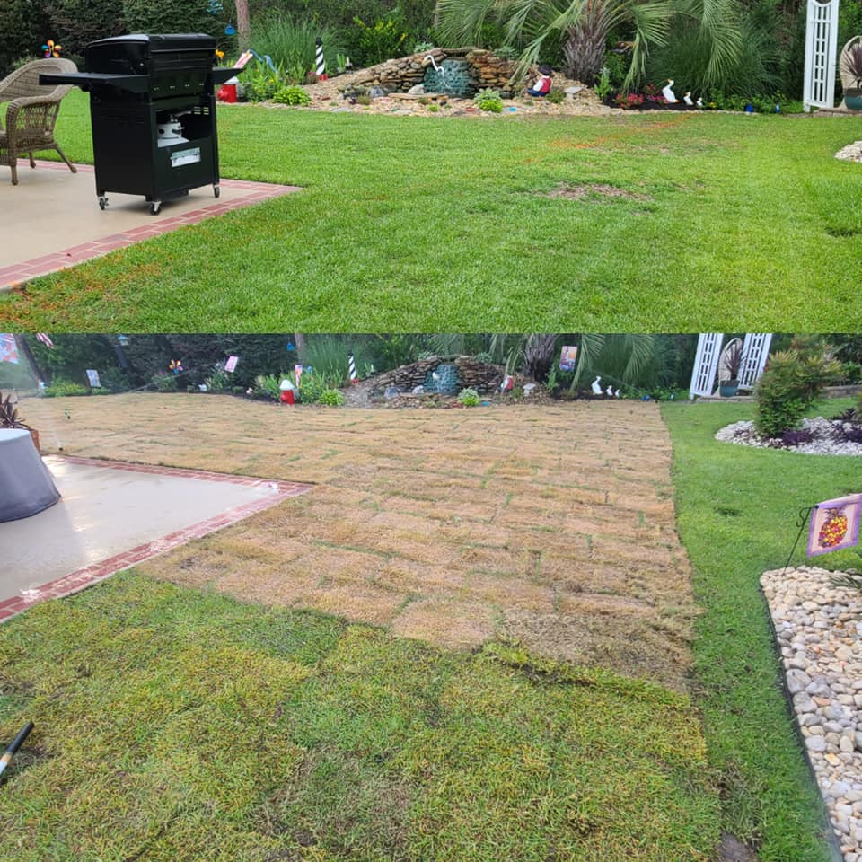 remove Centipede and install Zoysia sod in Myrtle Beach, SC 29579