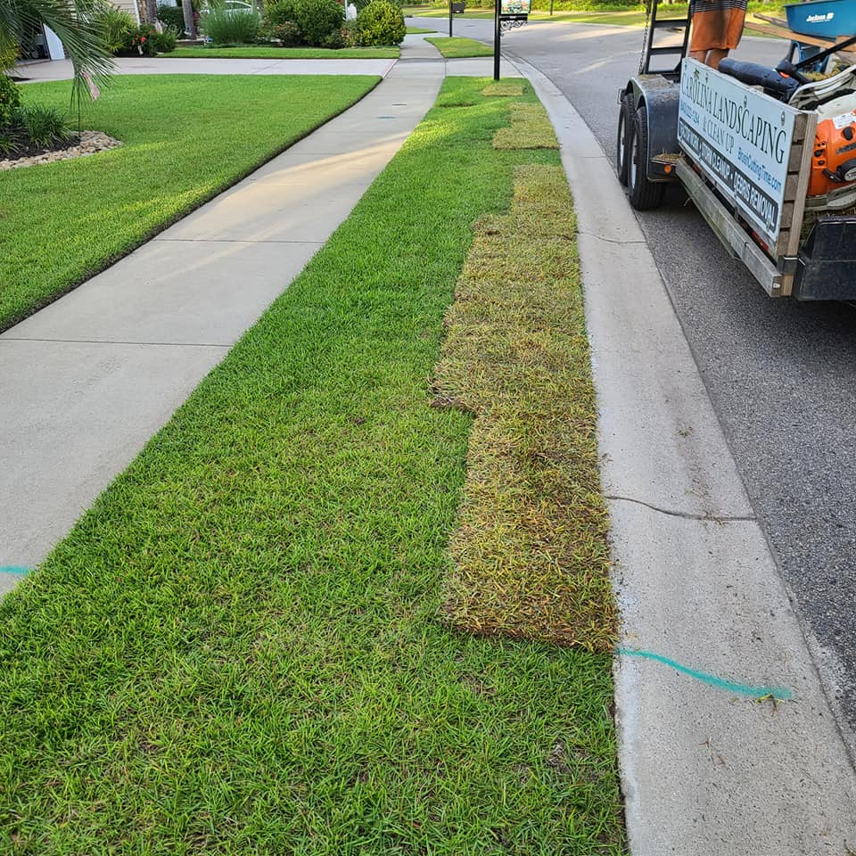 remove Centipede and install Zoysia sod in Myrtle Beach, SC 29579