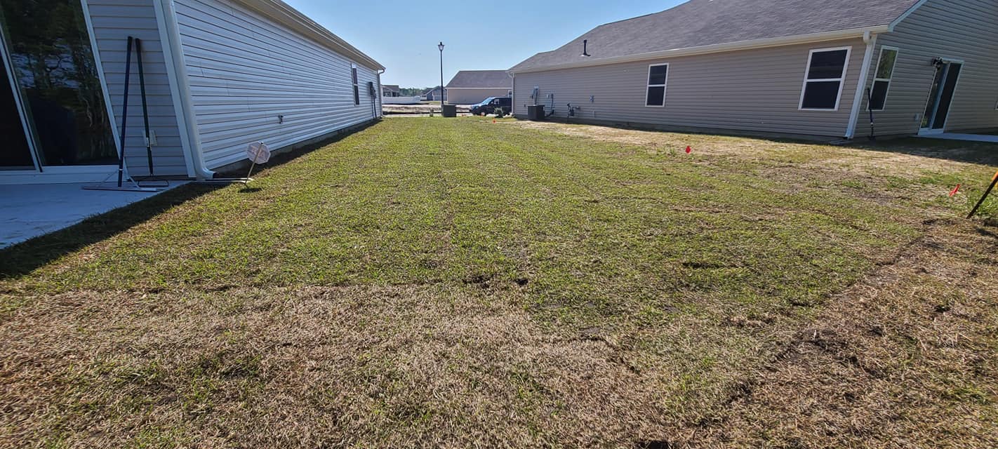 Install Centipede sod, owner did the prep work in Little River, SC 29566
