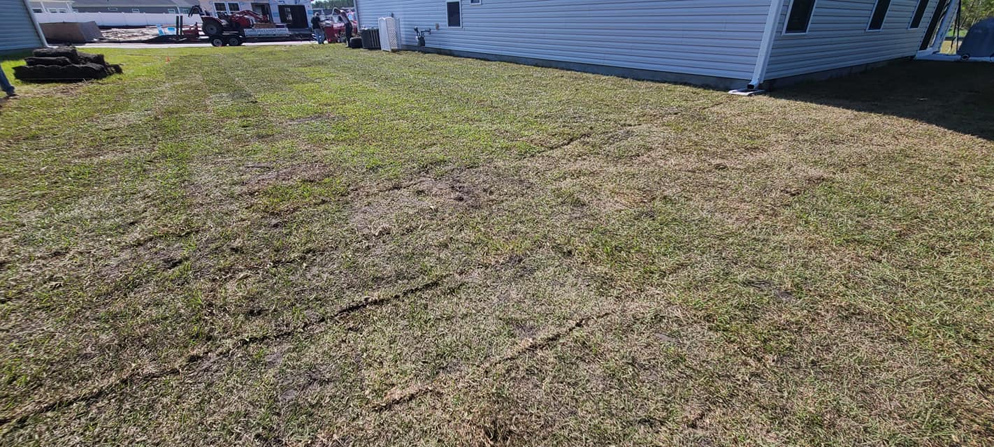 Install Centipede sod, owner did the prep work in Little River, SC 29566