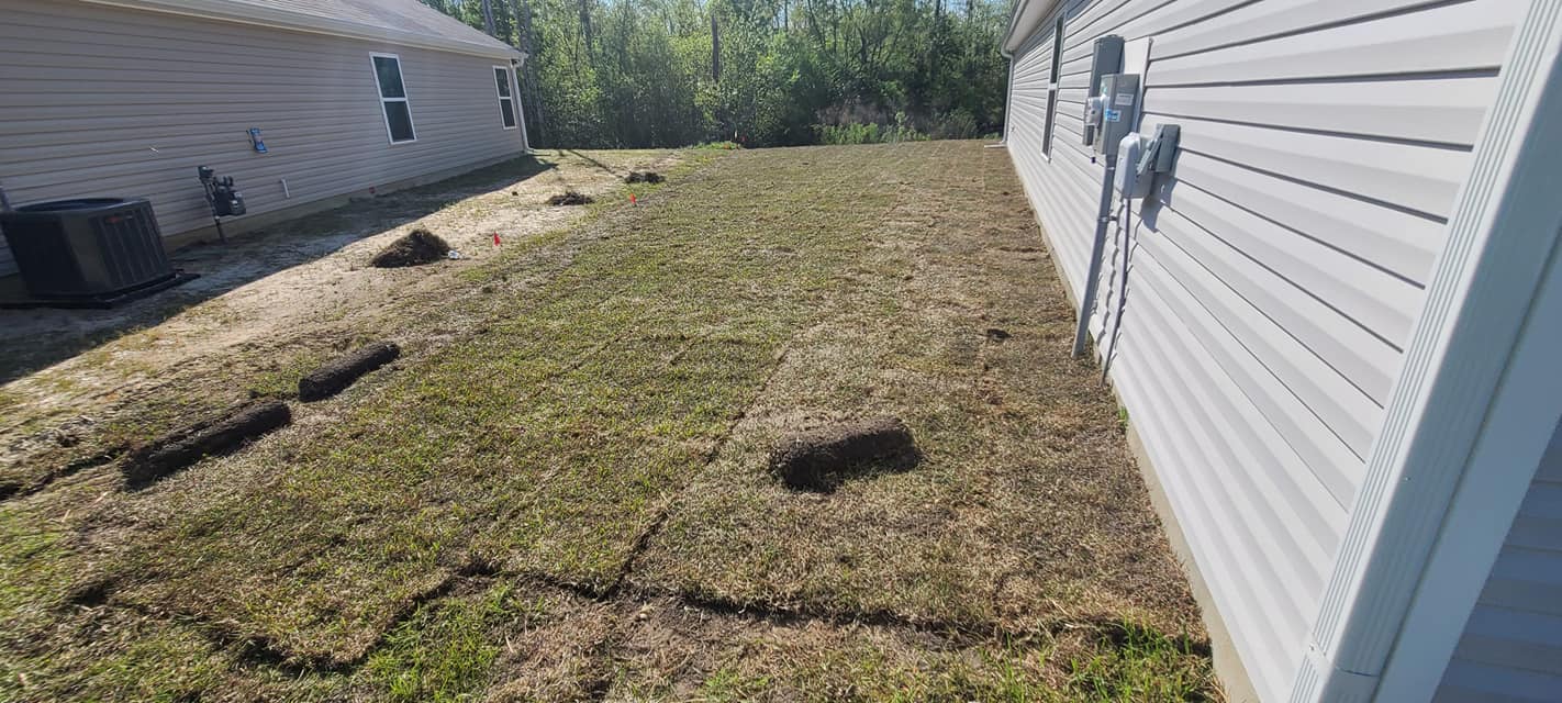 Install Centipede sod, owner did the prep work in Little River, SC 29566