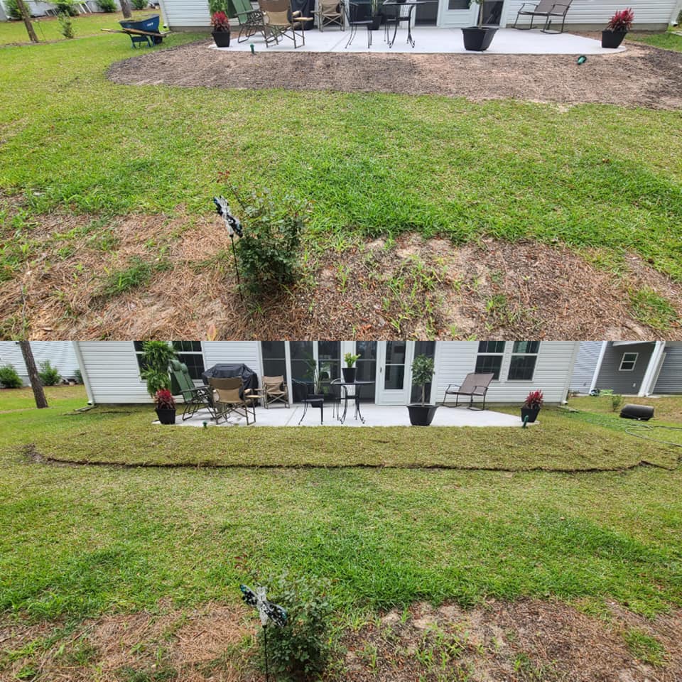 Brought in top soil and layed Centipede sod in Longs, SC 29568