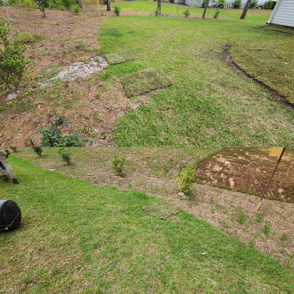 Brought in top soil and layed Centipede sod in Longs, SC 29568