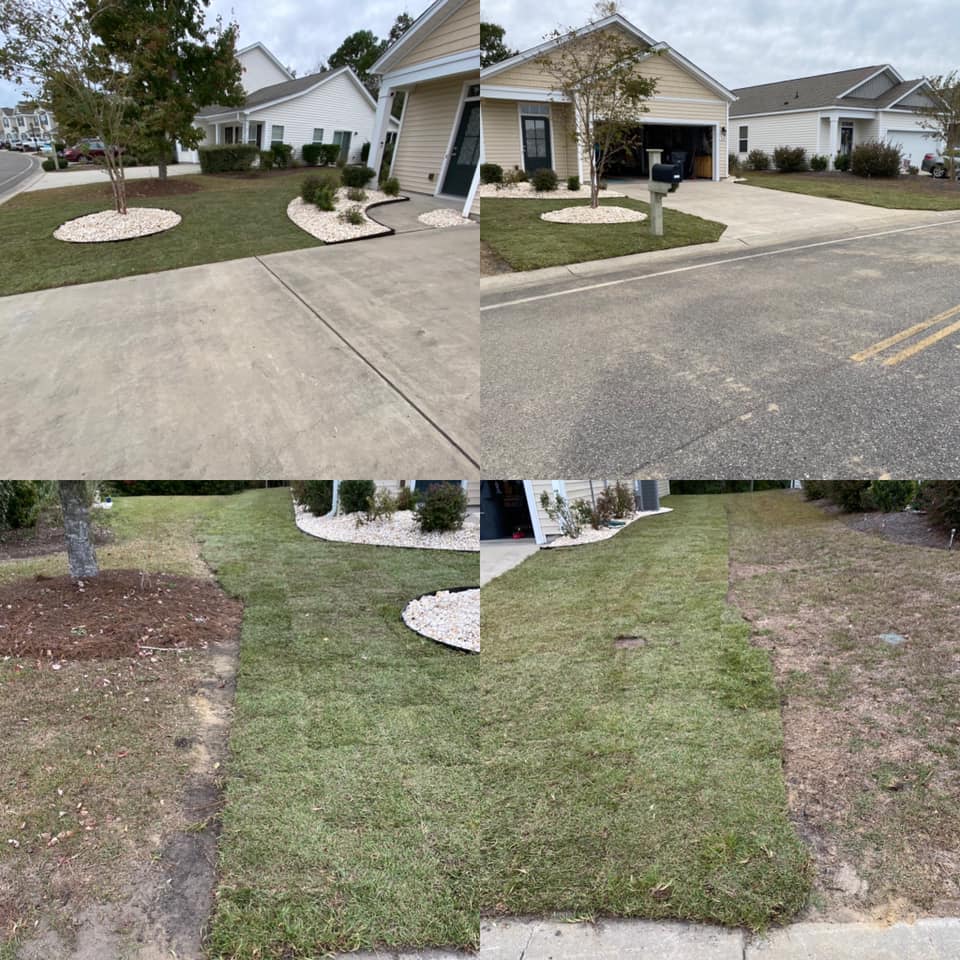 Brought in 5 dump truck loads of fill and installed centipede sod