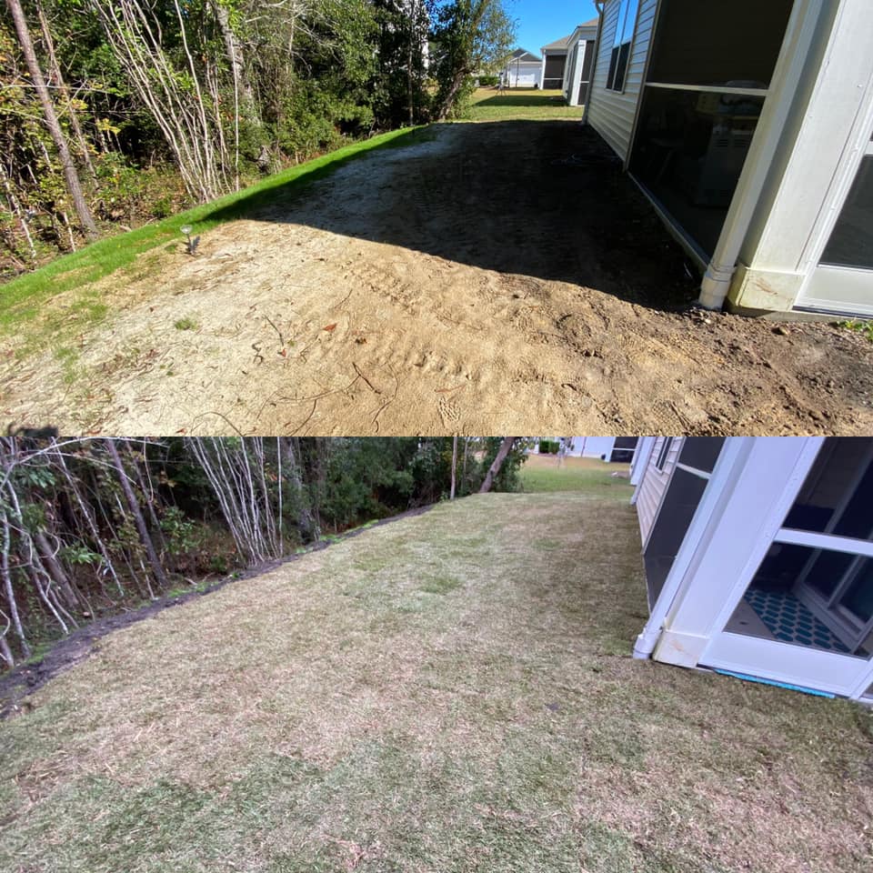 Brought in 5 dump truck loads of fill and installed centipede sod