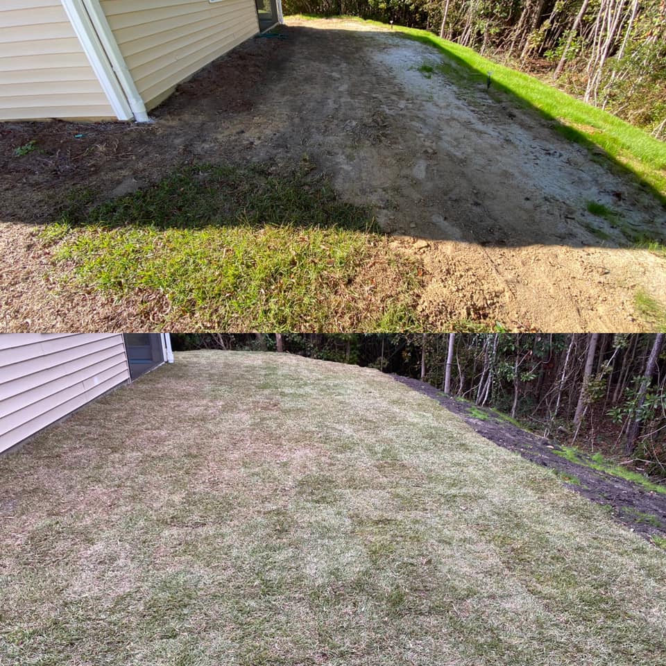 Brought in 5 dump truck loads of fill and installed centipede sod