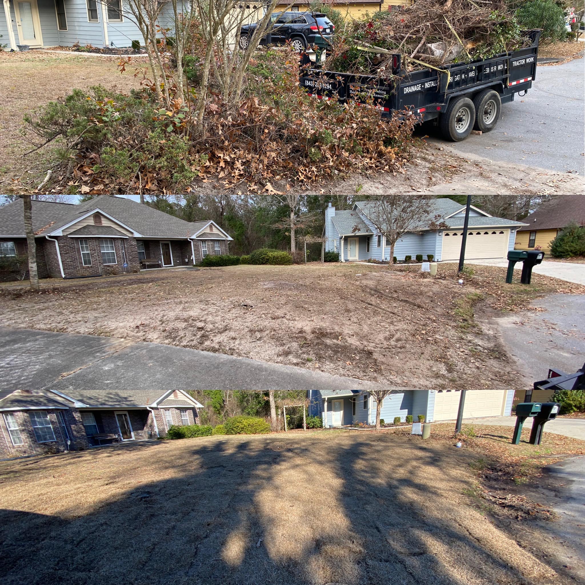 ripped out brush and installed centipede sod