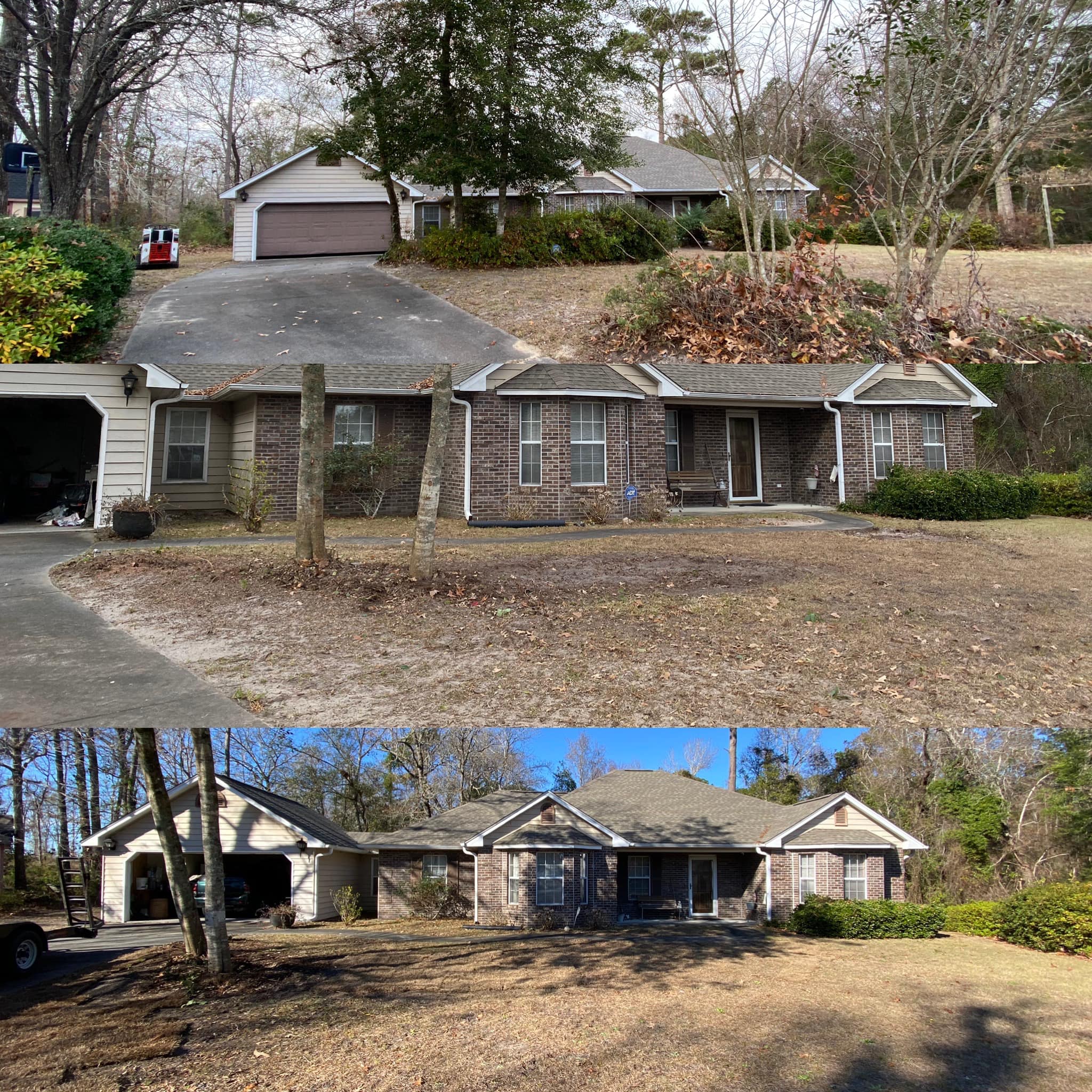 ripped out brush and installed centipede sod