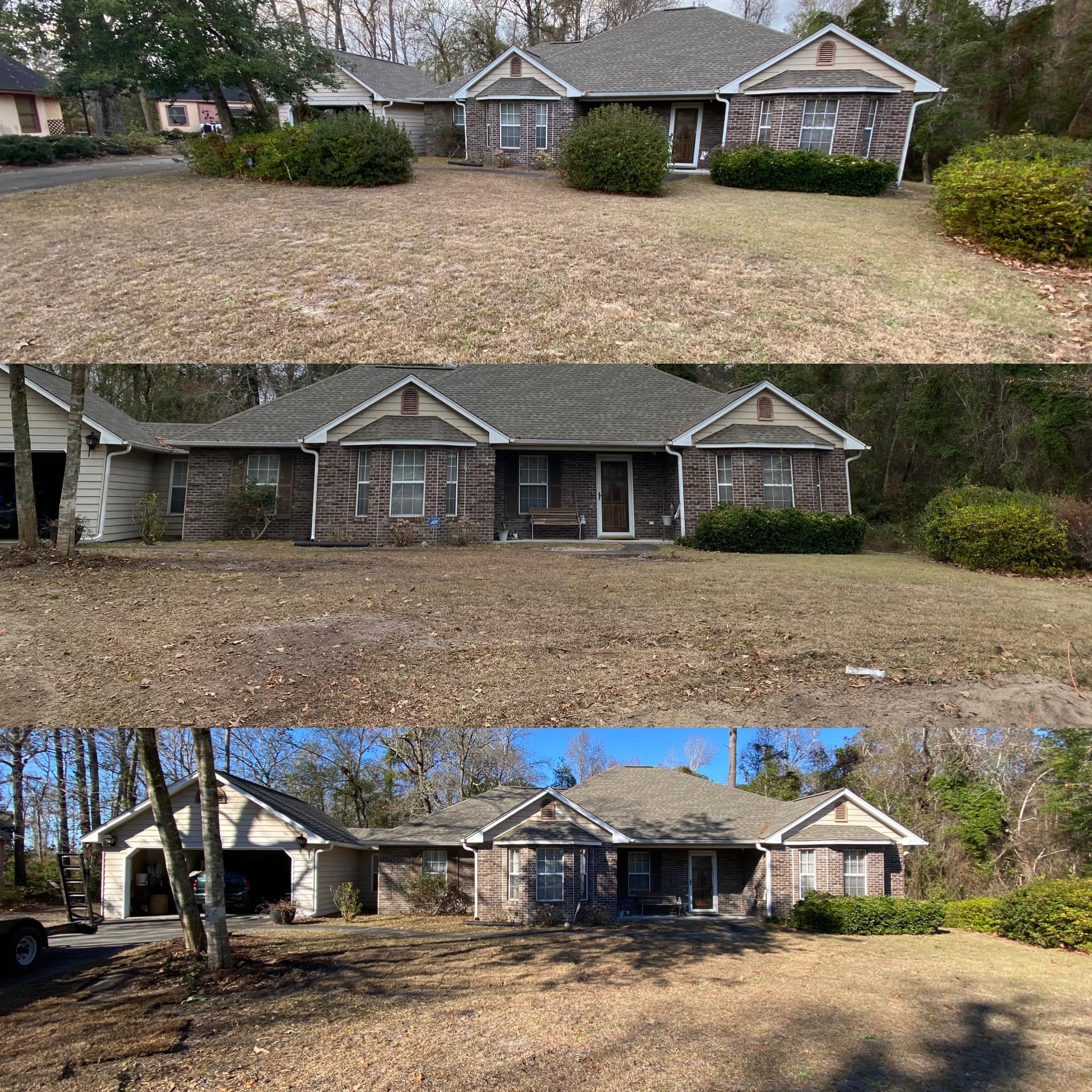 ripped out brush and installed centipede sod