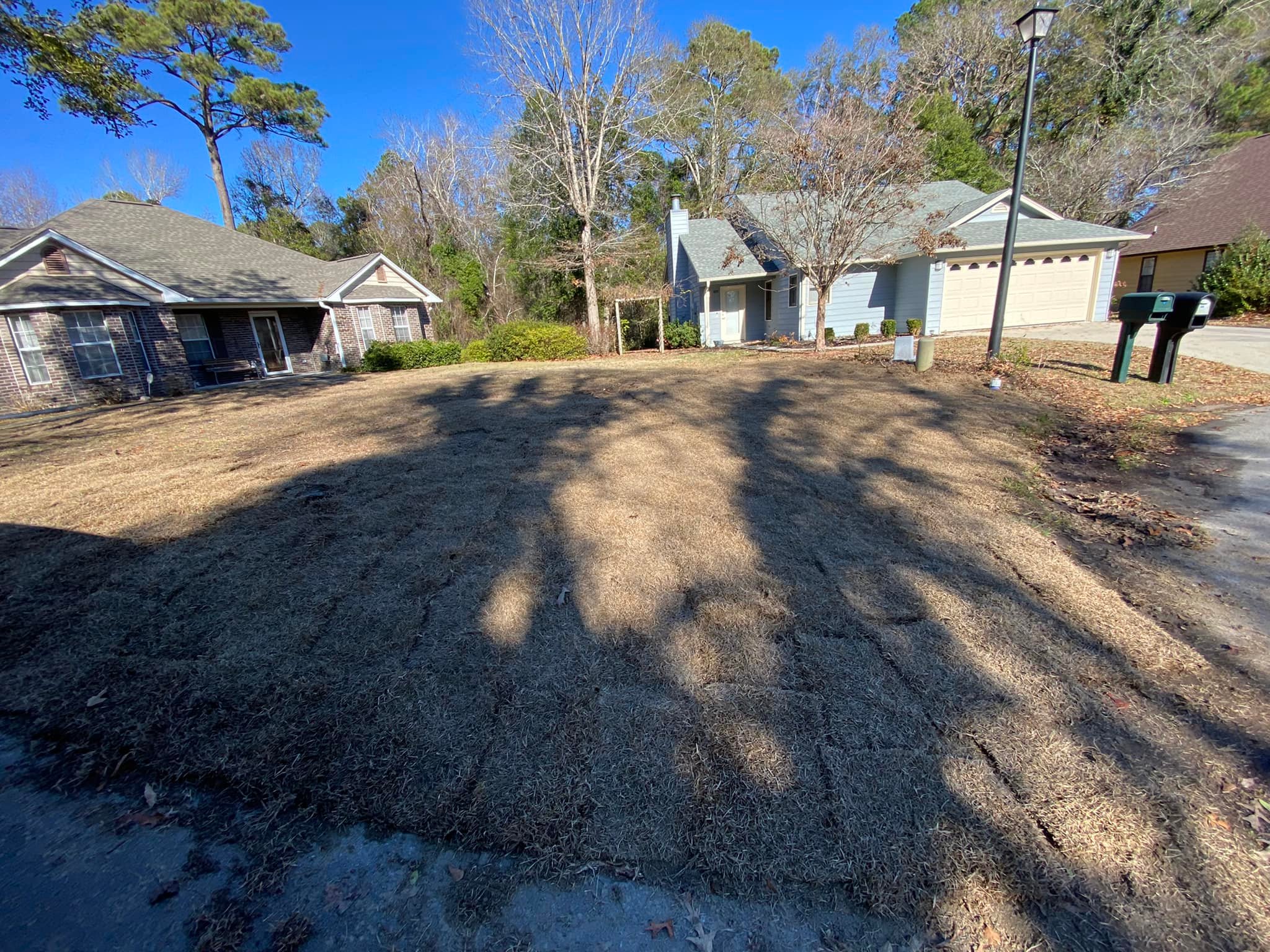 ripped out brush and installed centipede sod