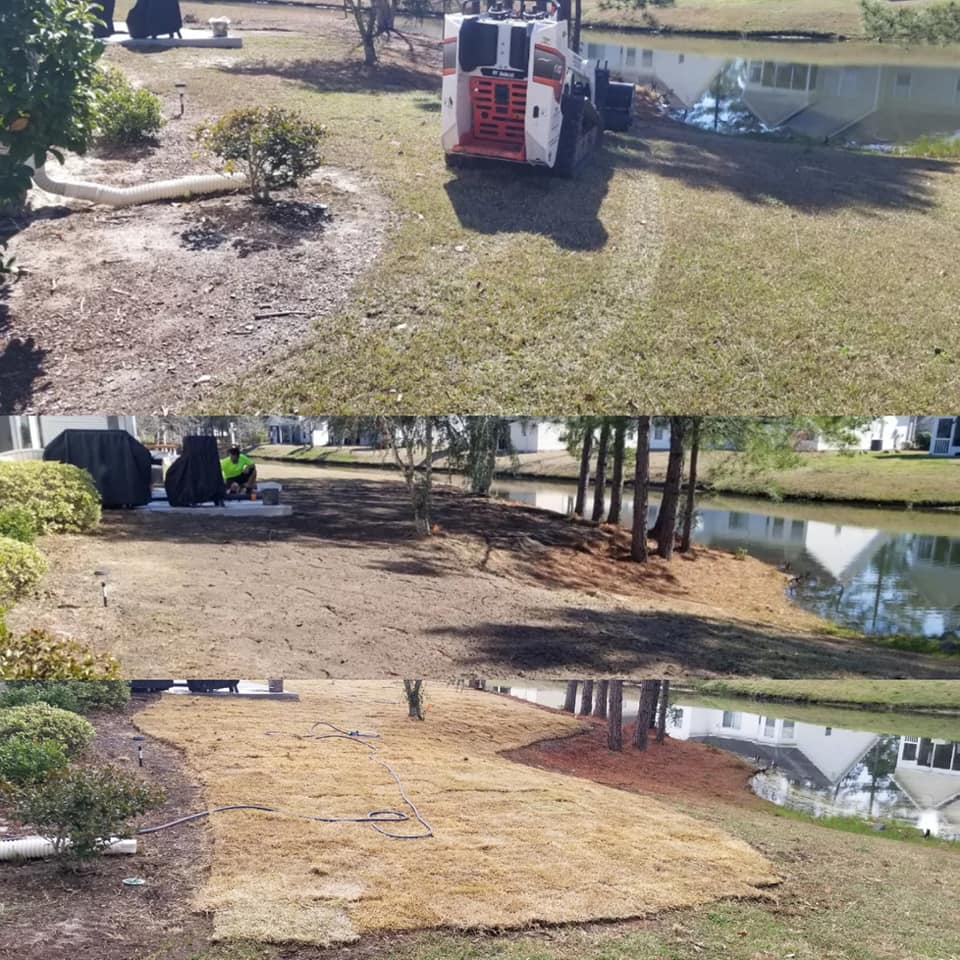 removed centiped, brought in top soil and installed wide blade Zoysia
