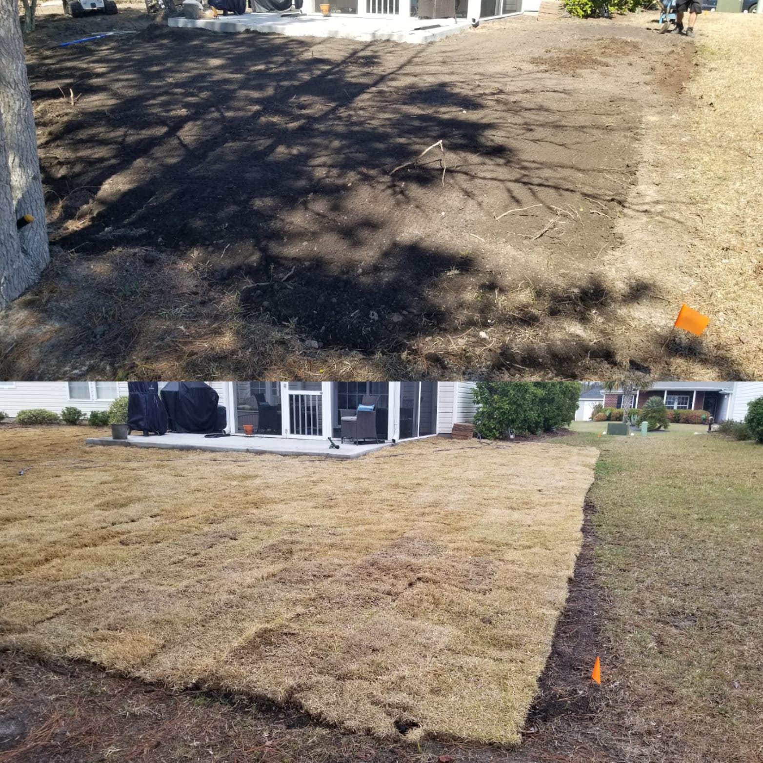 removed centiped, brought in top soil and installed wide blade Zoysia