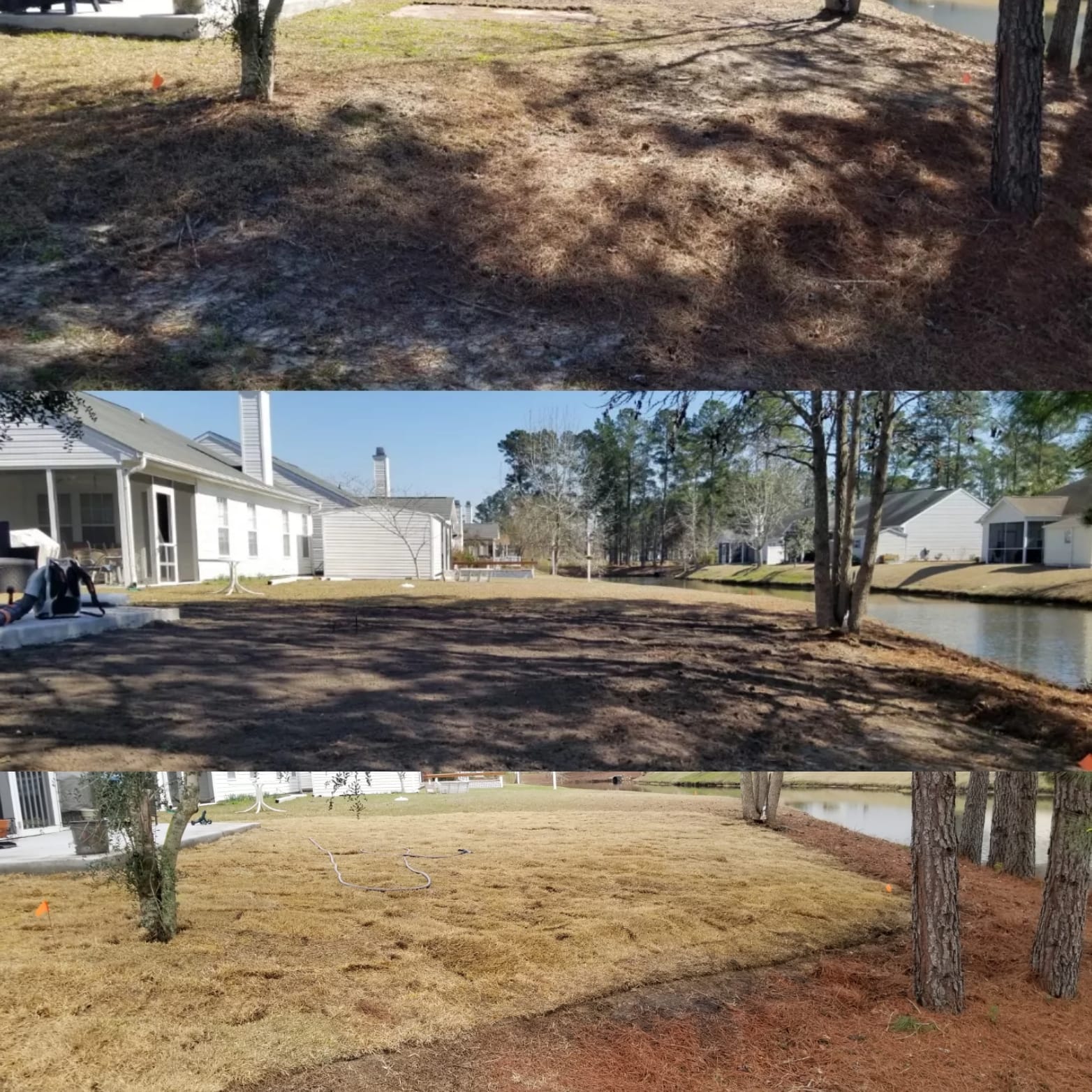 removed centiped, brought in top soil and installed wide blade Zoysia