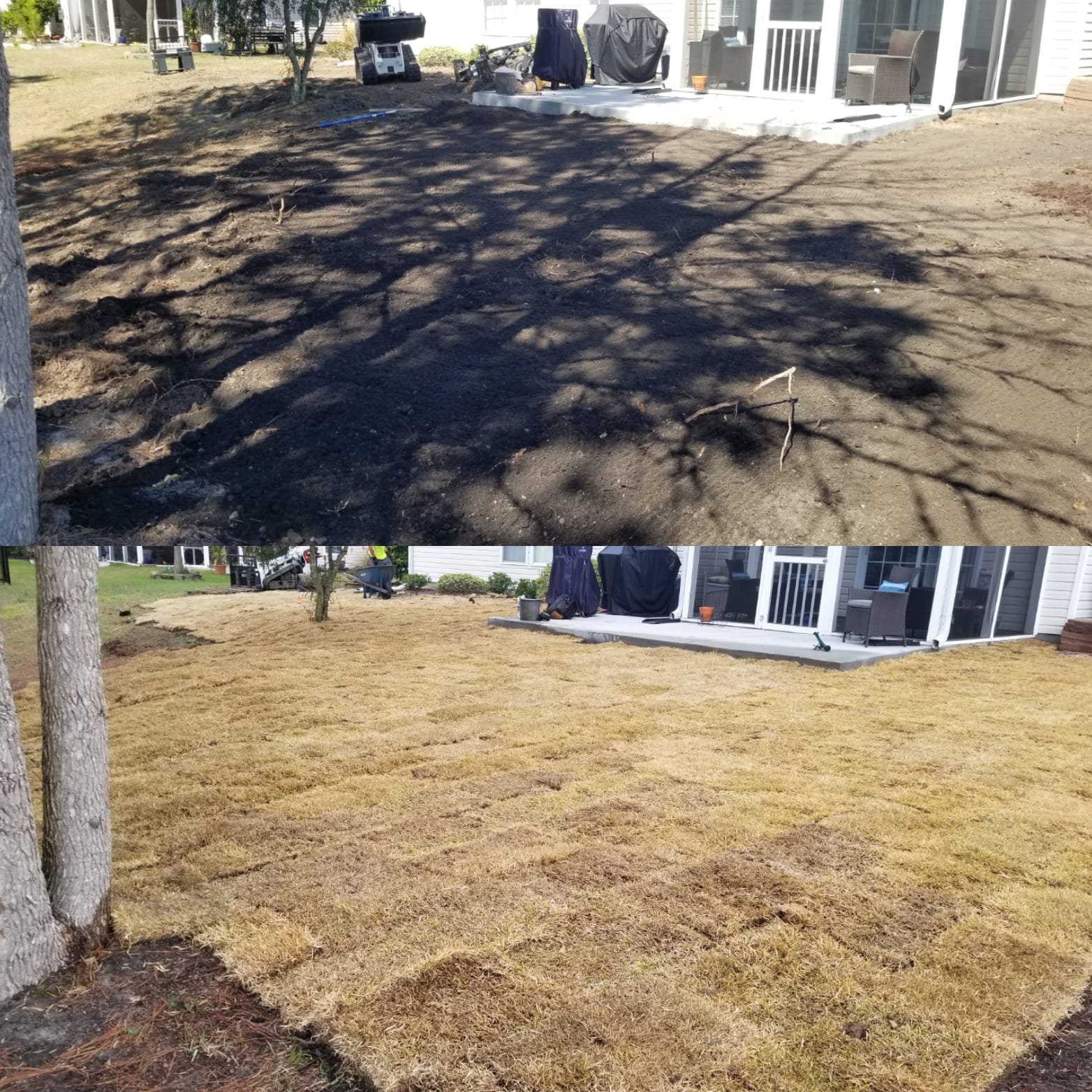 removed centiped, brought in top soil and installed wide blade Zoysia
