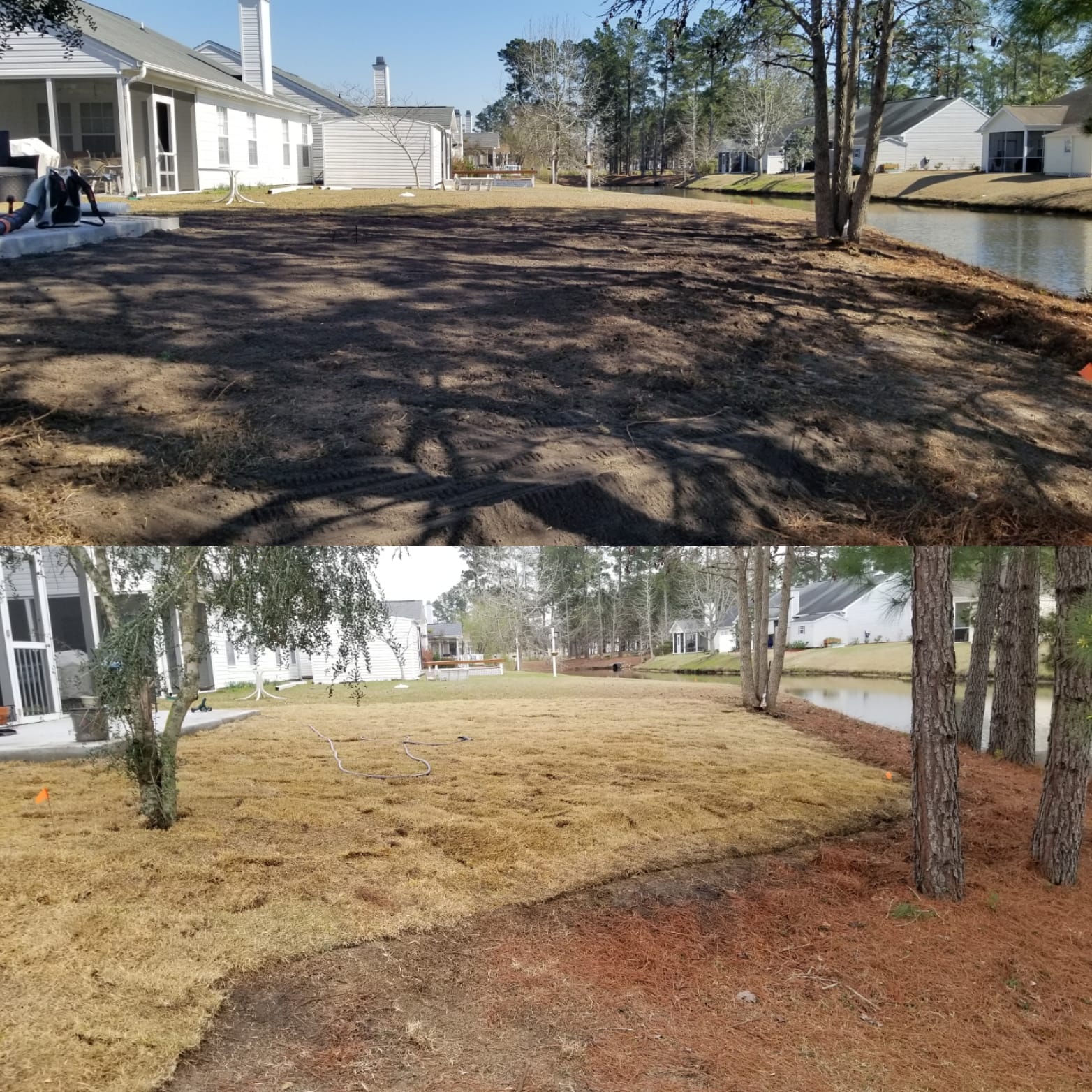 removed centiped, brought in top soil and installed wide blade Zoysia