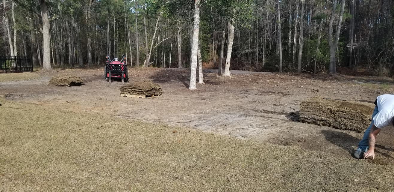 Prepped ground and installed sod in Longs, SC 29568