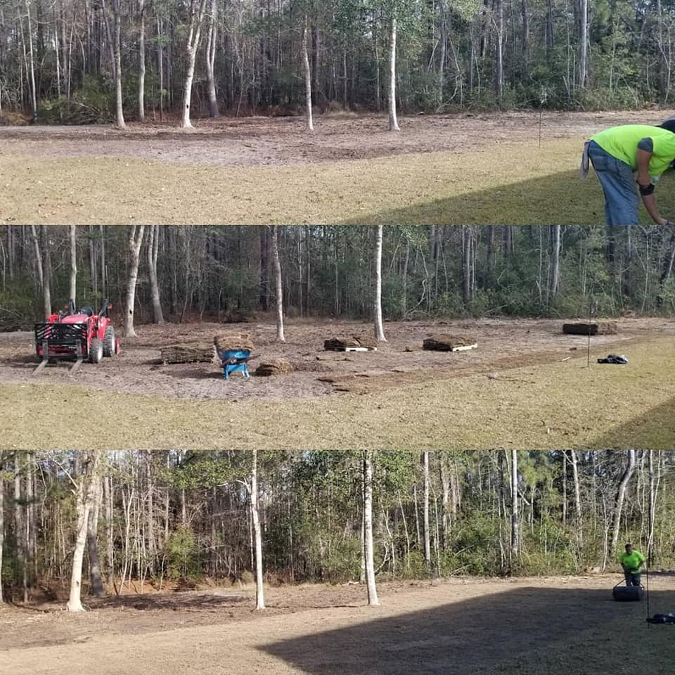 Prepped ground and installed sod in Longs, SC 29568