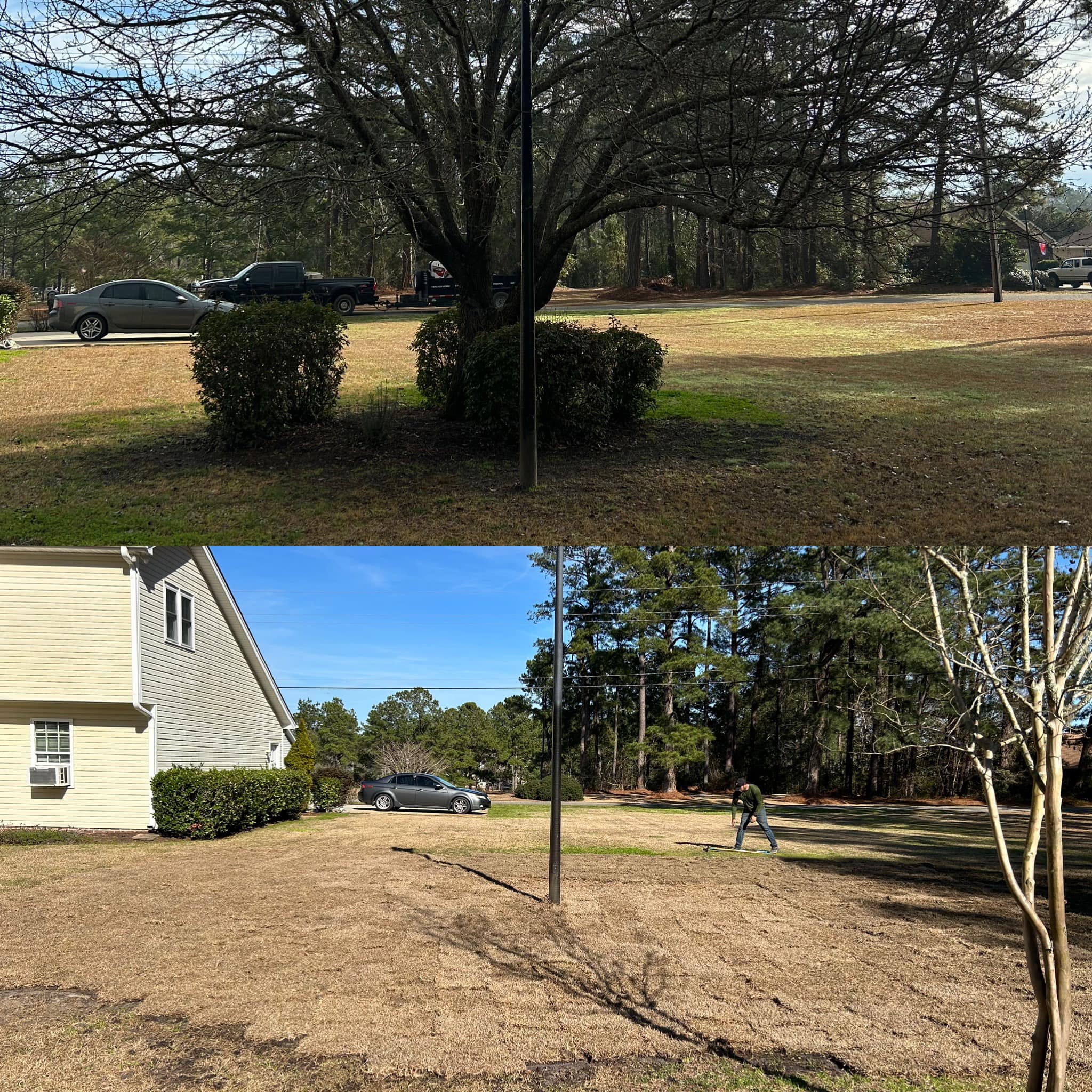 Removed tree and shrubs and installed sod in Little River, SC 29566