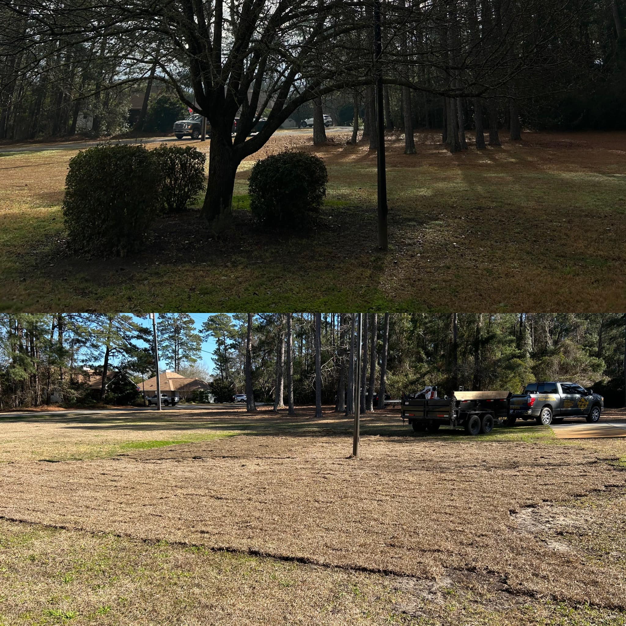 Removed tree and shrubs and installed sod in Little River, SC 29566