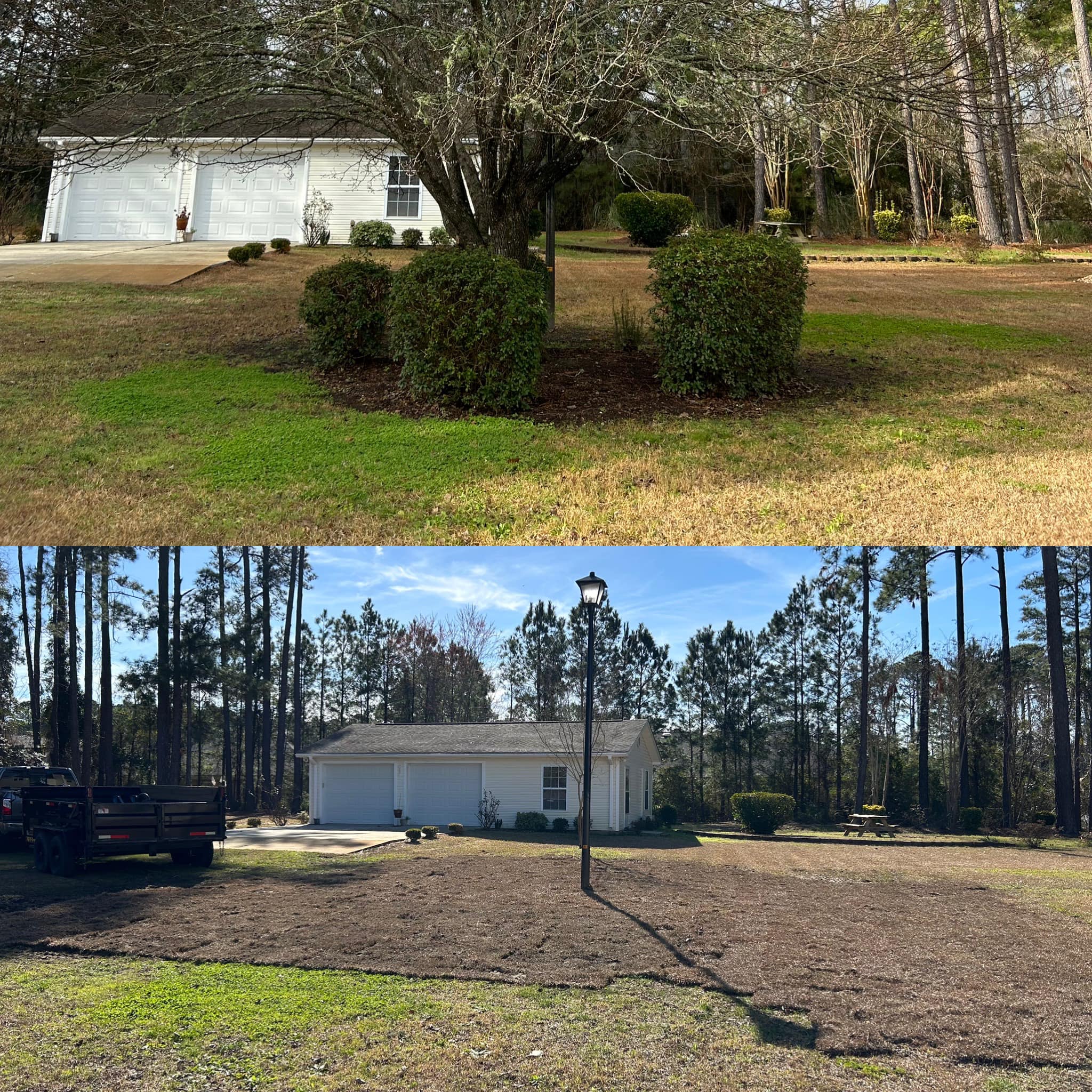 Removed tree and shrubs and installed sod in Little River, SC 29566